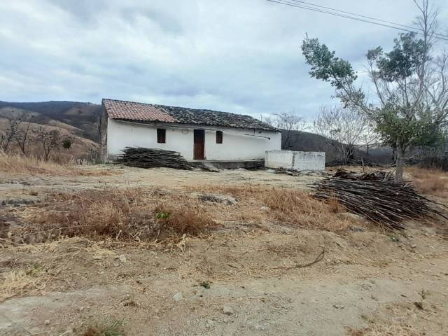 #92 - Chácara para Venda em Pedra Branca - CE