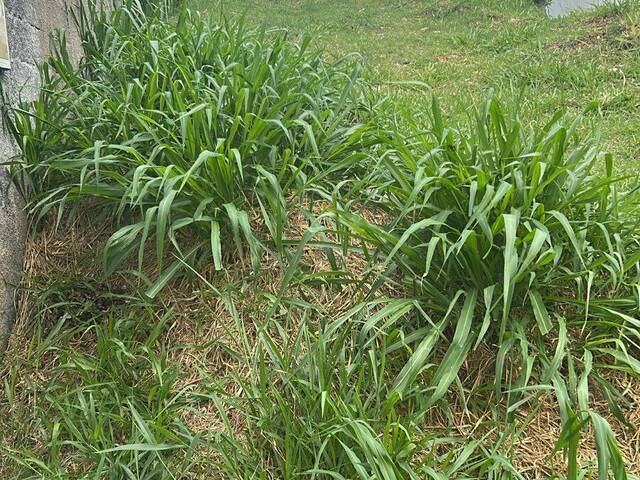 #104 - Terreno para Venda em Santana de Parnaíba - SP - 1